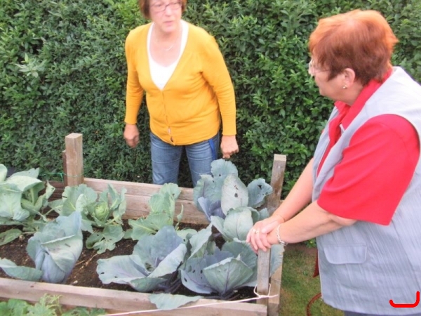 Planwagenfahrt 2013