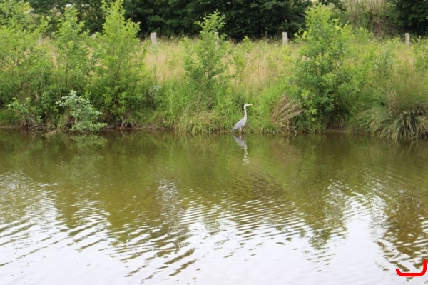 Floßfahrt Steveraue_2