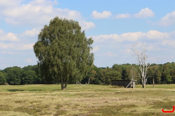 Lüneburger Heide_2