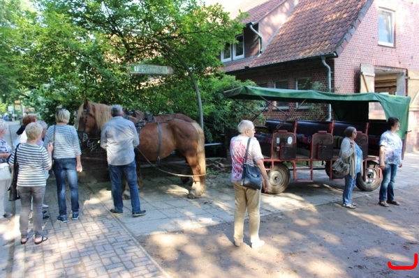 Lüneburger Heide_1