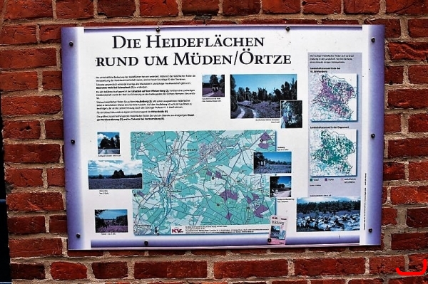 Ausflug Heide, Hermannsburg_1