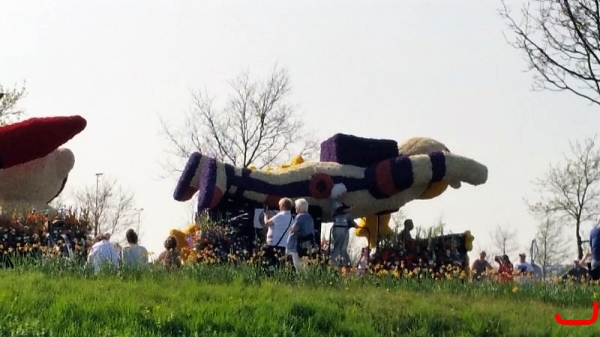 Keukenhof_1