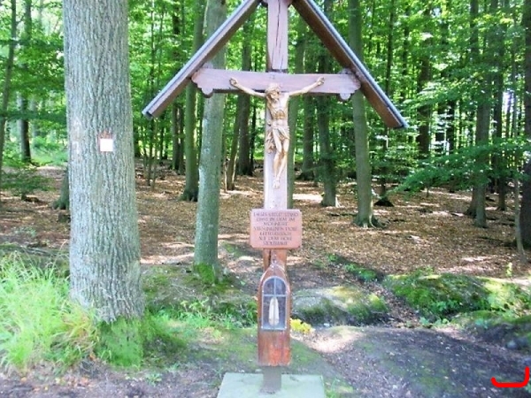 Wanderung um die Möhne_4